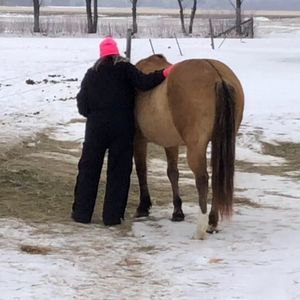 Meet your Posher, Lisa